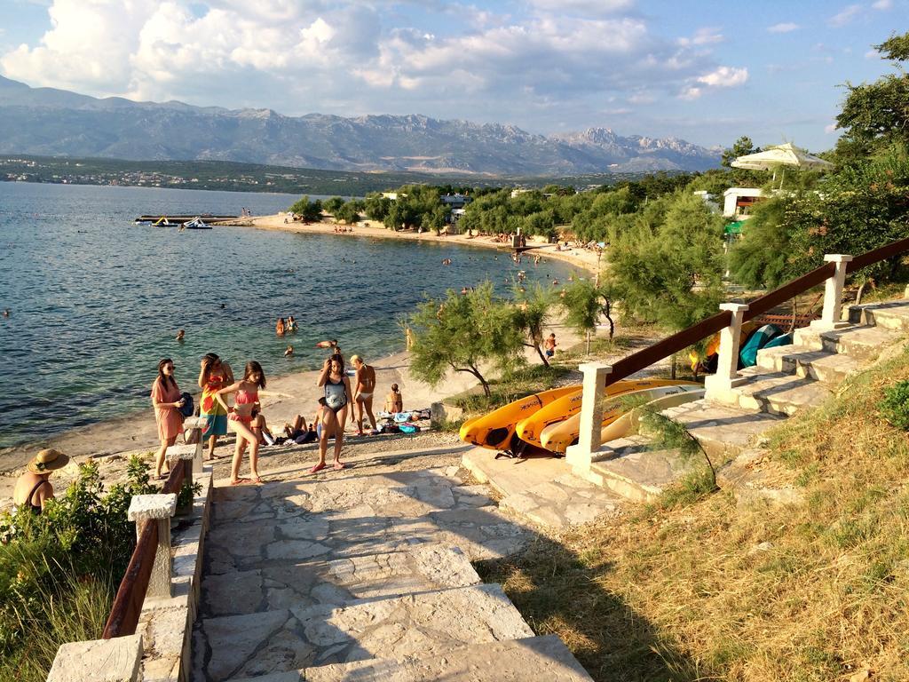 Apartment Novigrad Holiday 外观 照片